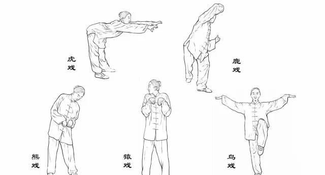 八段锦国家体育总局口令版完整版 illustration