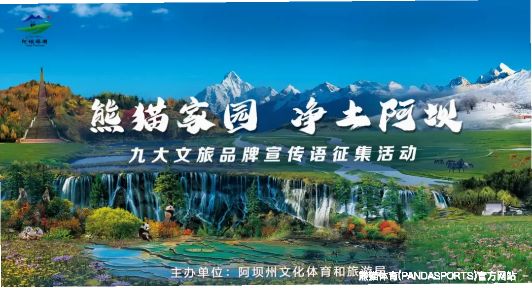 服务项目